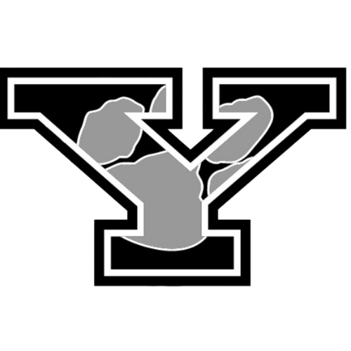 York HS, SC Logo